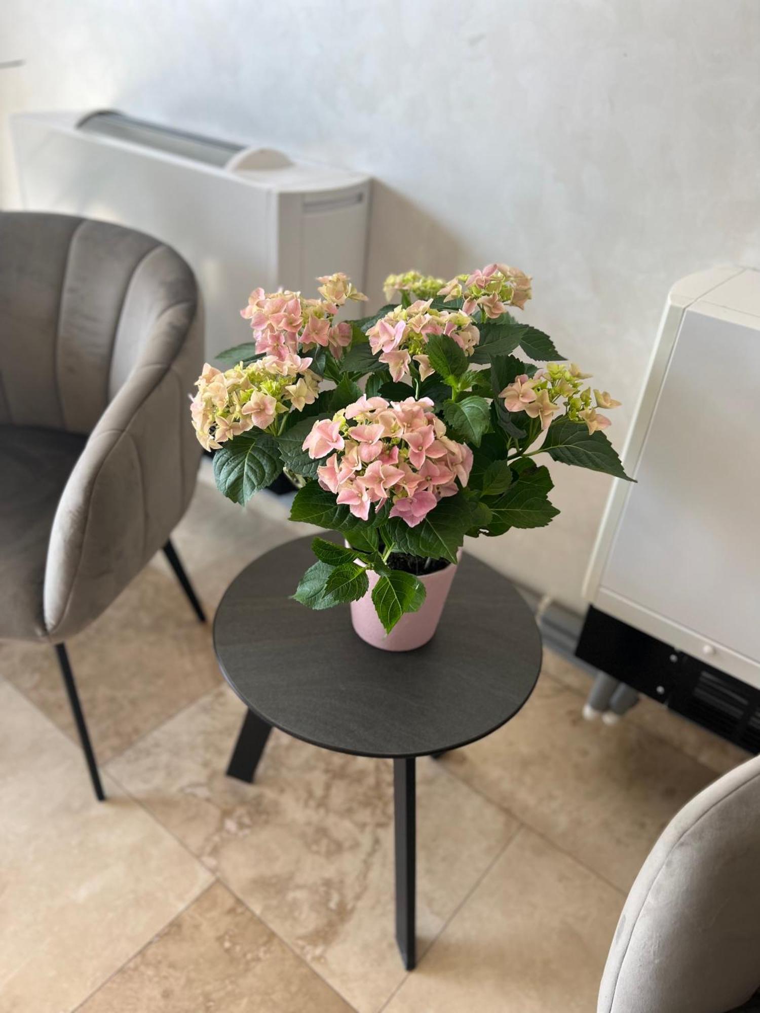 טרגובישטה Hotel Del Ponte מראה חיצוני תמונה