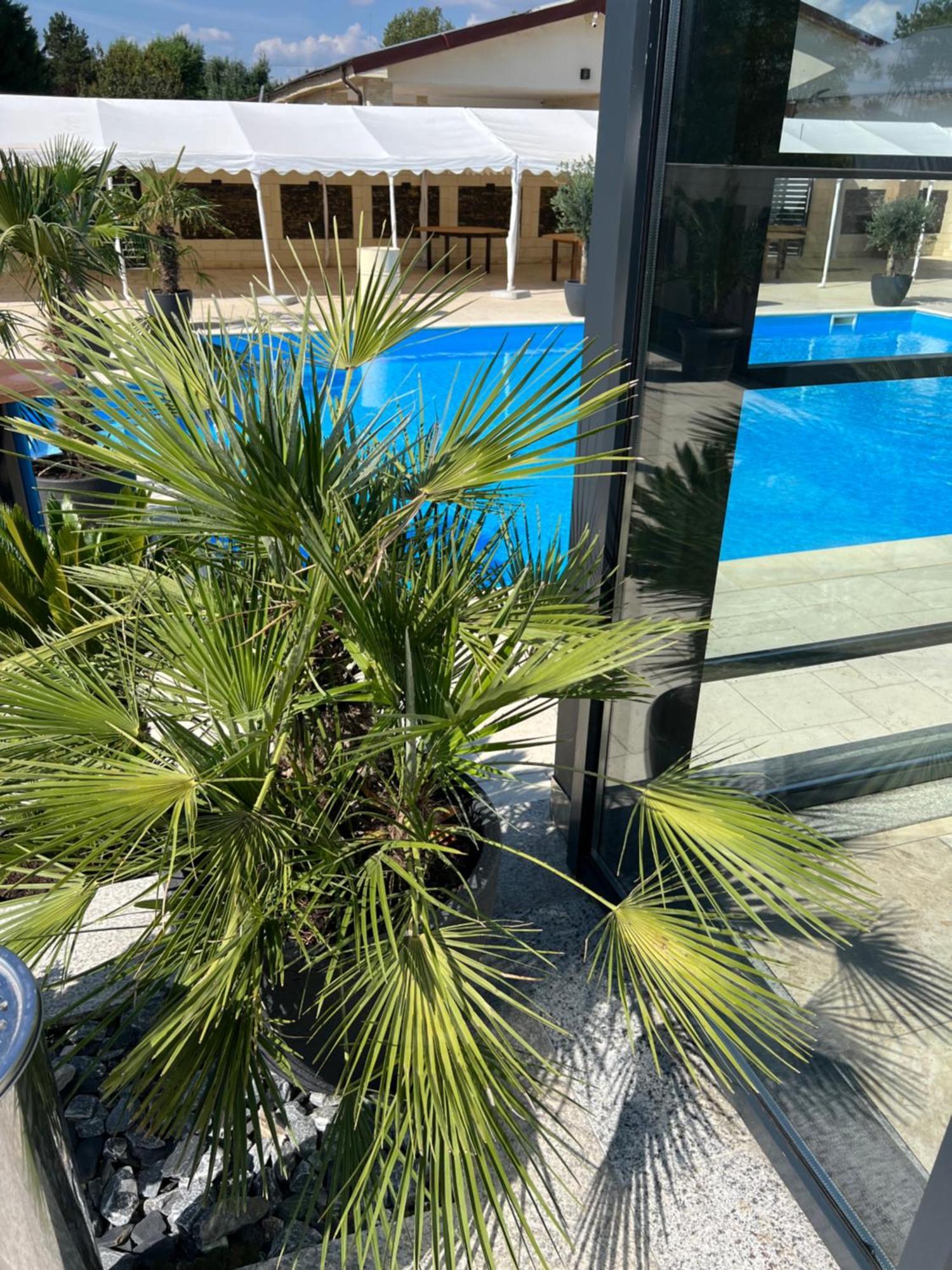 טרגובישטה Hotel Del Ponte מראה חיצוני תמונה